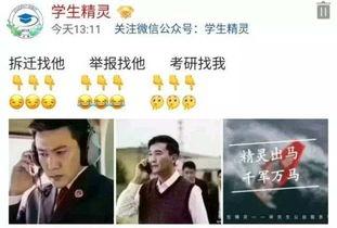 国产吃瓜婊 第4页